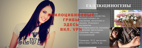 прущие крисы Аркадак