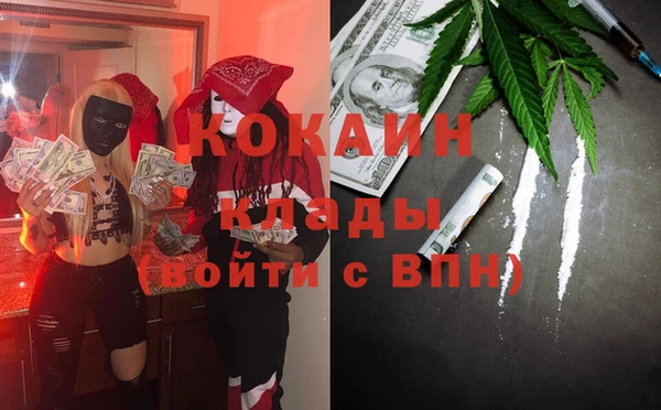 индика Сосновка