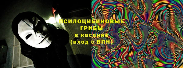 дживик Арсеньев